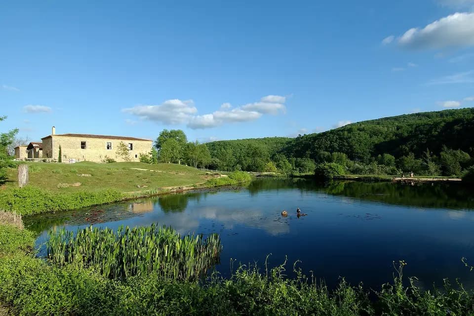 La Villa Romaine — photo 6