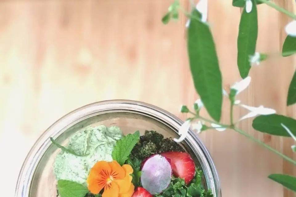 Joya Toulouse — photo 2