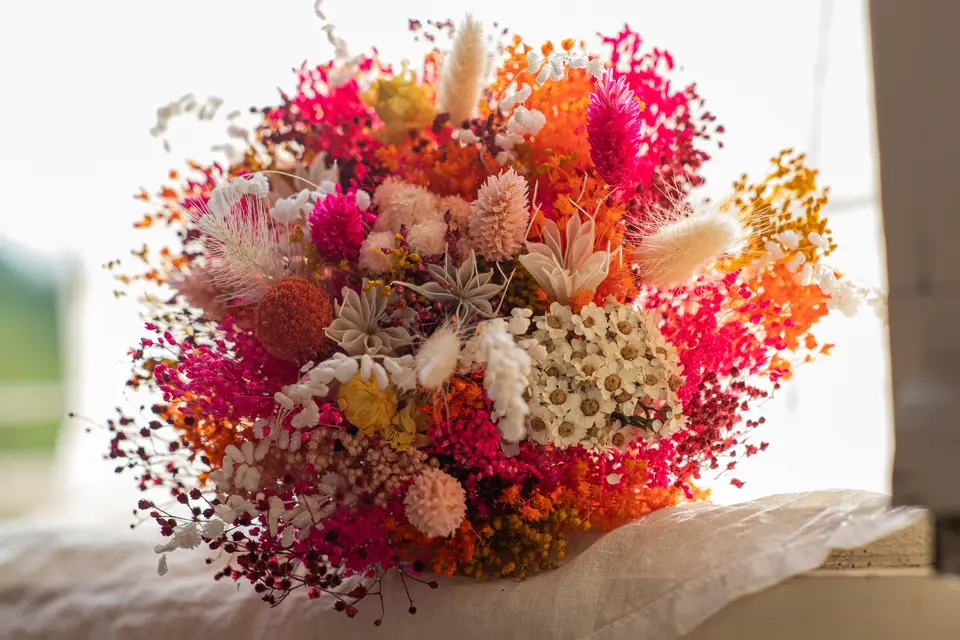 Mister Comm — photo 5