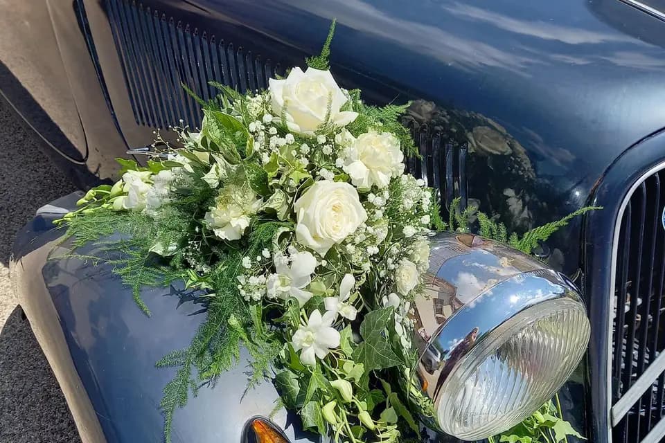 Un Brin de Nature — photo 8