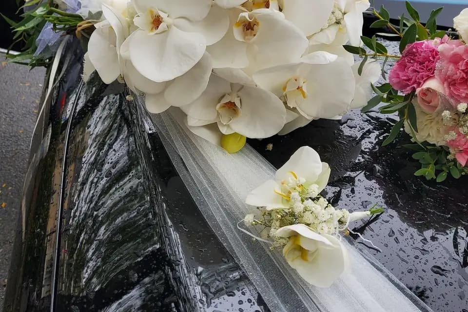 Lilas Fleurs — photo 1