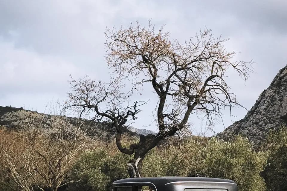 Provence en Anciennes — photo 1