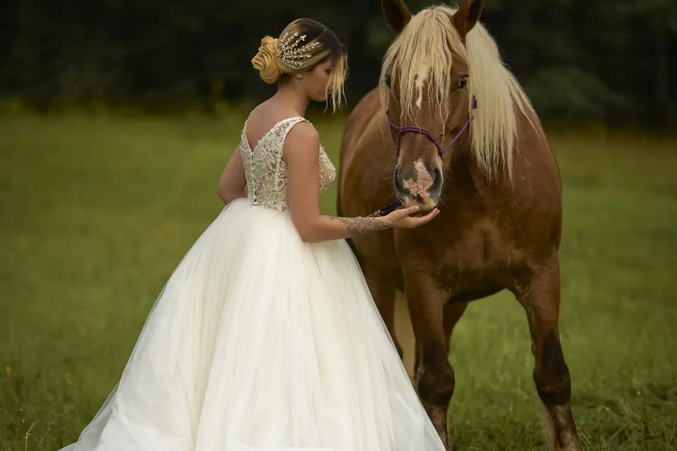 Louki and Co. — photo 5