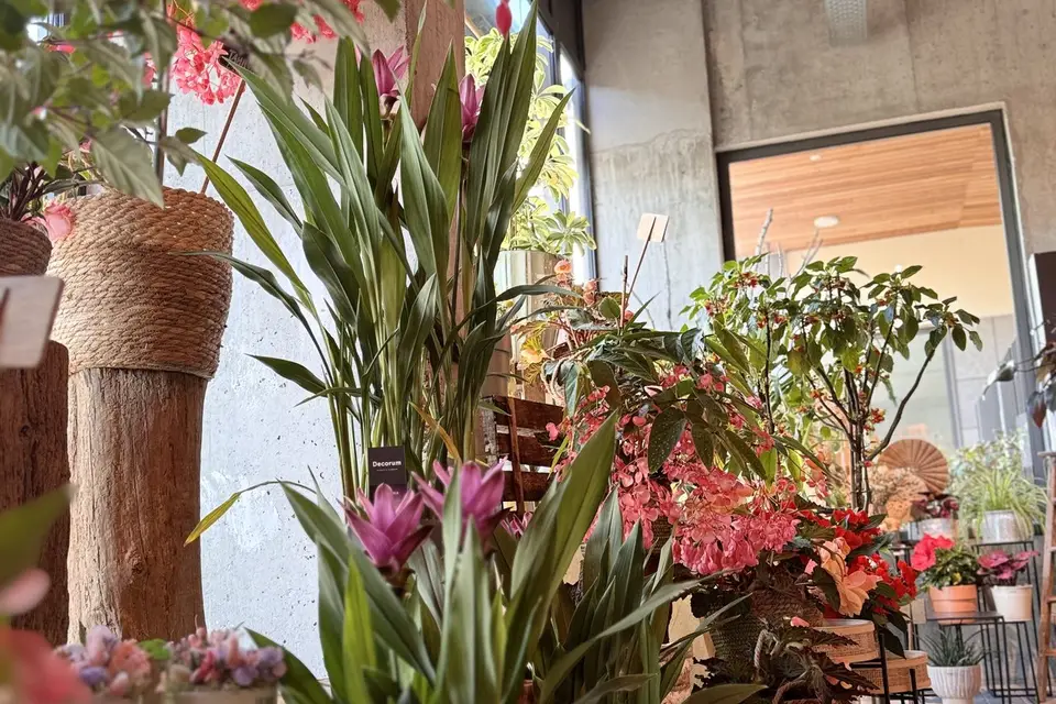 Le Pot O Roses — photo 6