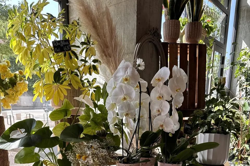 Le Pot O Roses — photo 1