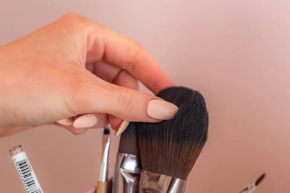 Elegance and Co — photo 6