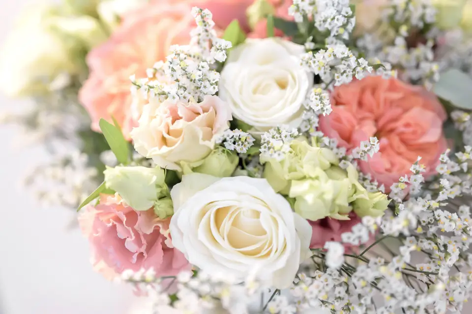 Gaetan Dhollande — photo 4