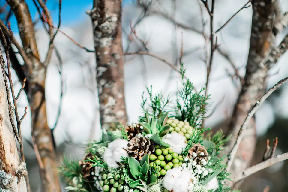 Mélanie Orsini — photo 6