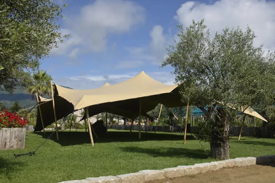 Oui Rent — photo 4