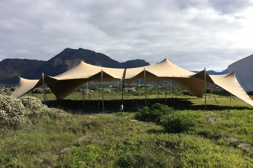 Oui Rent — photo 5