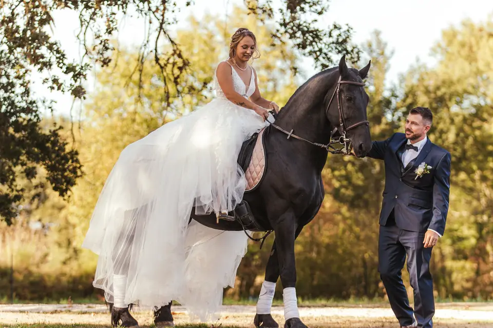 Nowmadz Creative Studios — photo 4