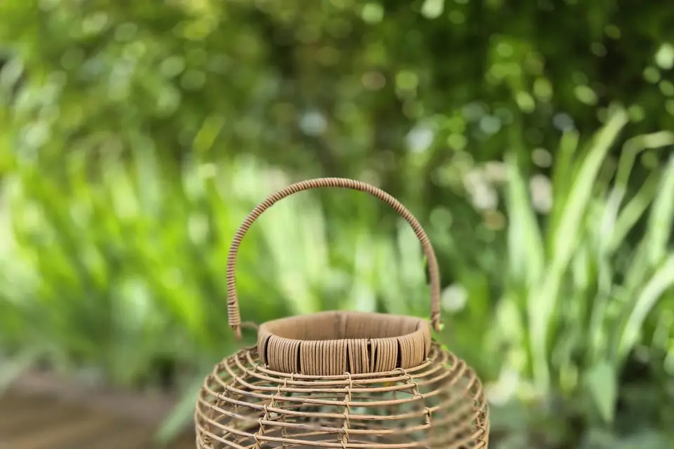 Marie & Vous — photo 3