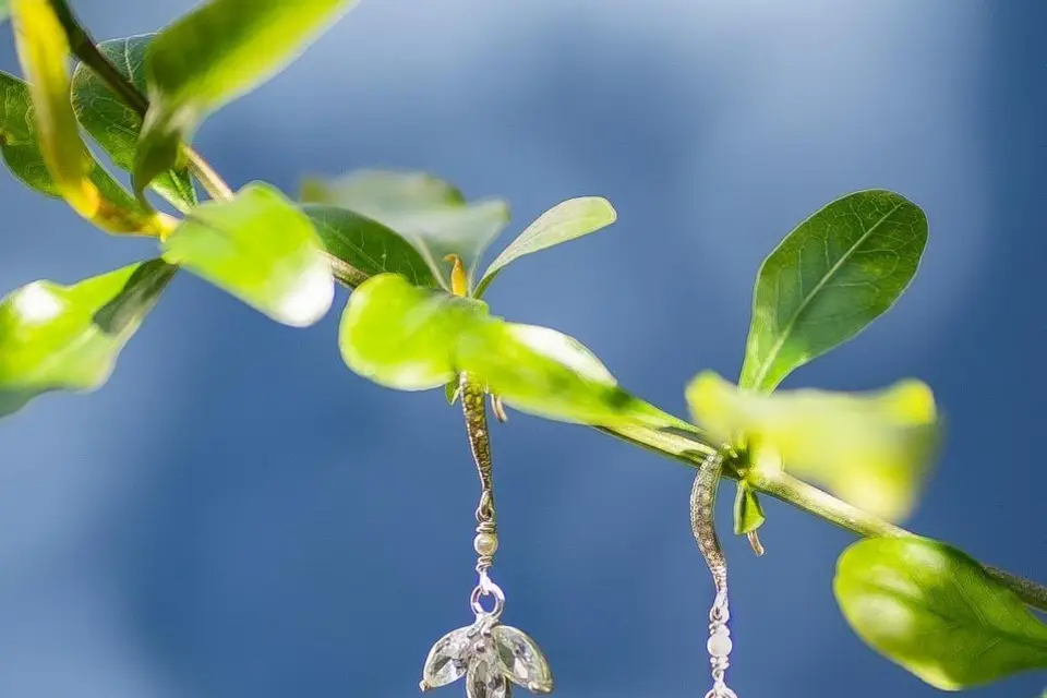 L'Univers de Vivi — photo 3