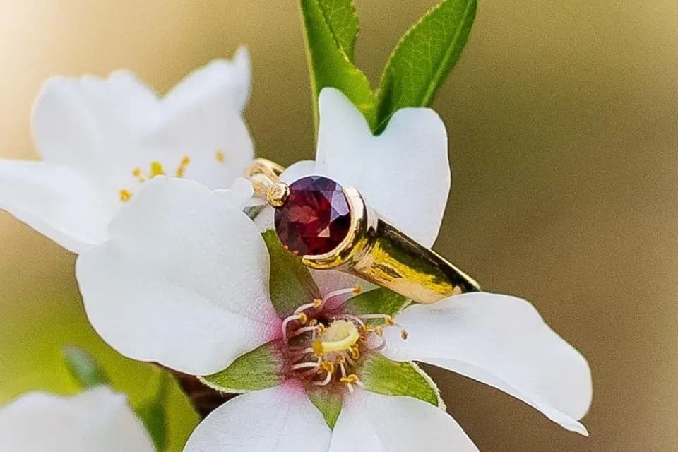 L'Univers de Vivi — photo 2