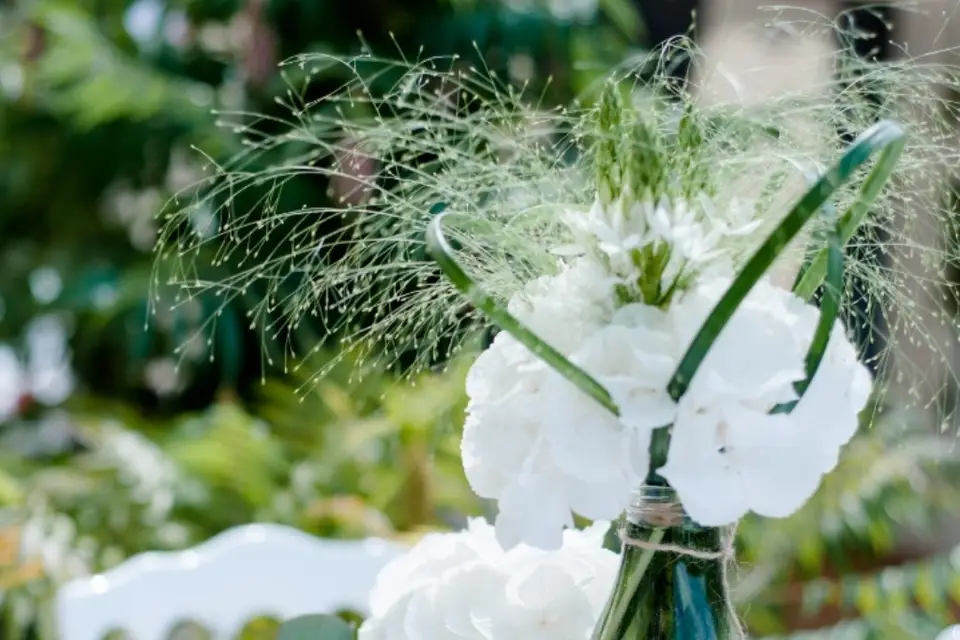 Mélevent Normandie — photo 2