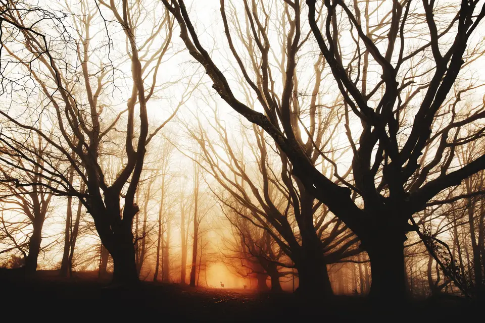 Inside City — photo 3