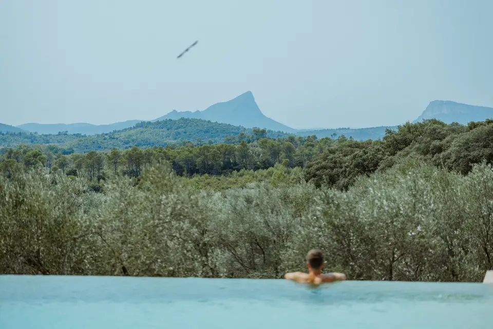 L'oeil du Sud — photo 8