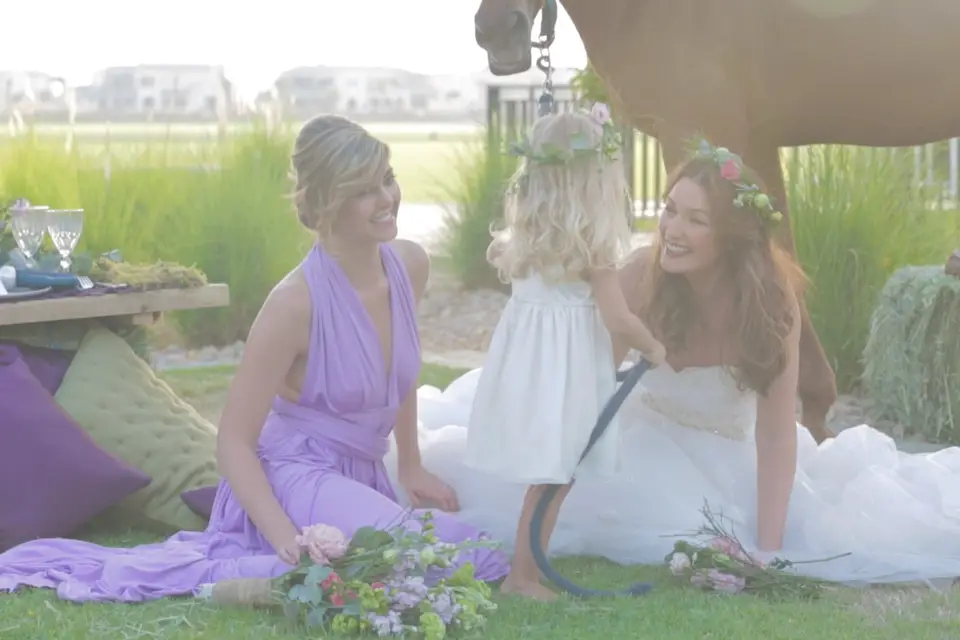 Lamz Film — photo 8