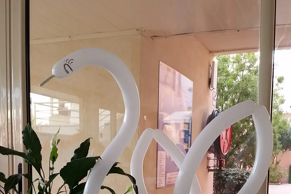 Eva Crea — photo 5