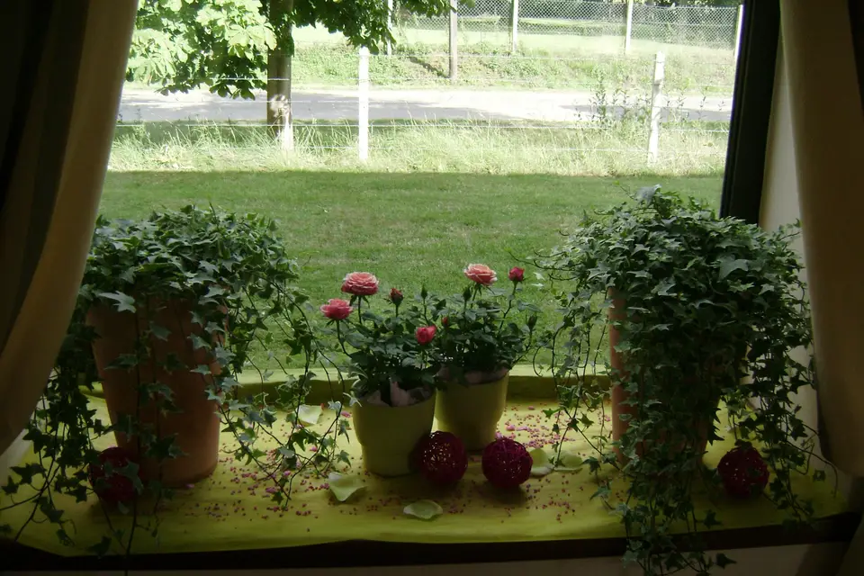 Ambiance Florale — photo 3