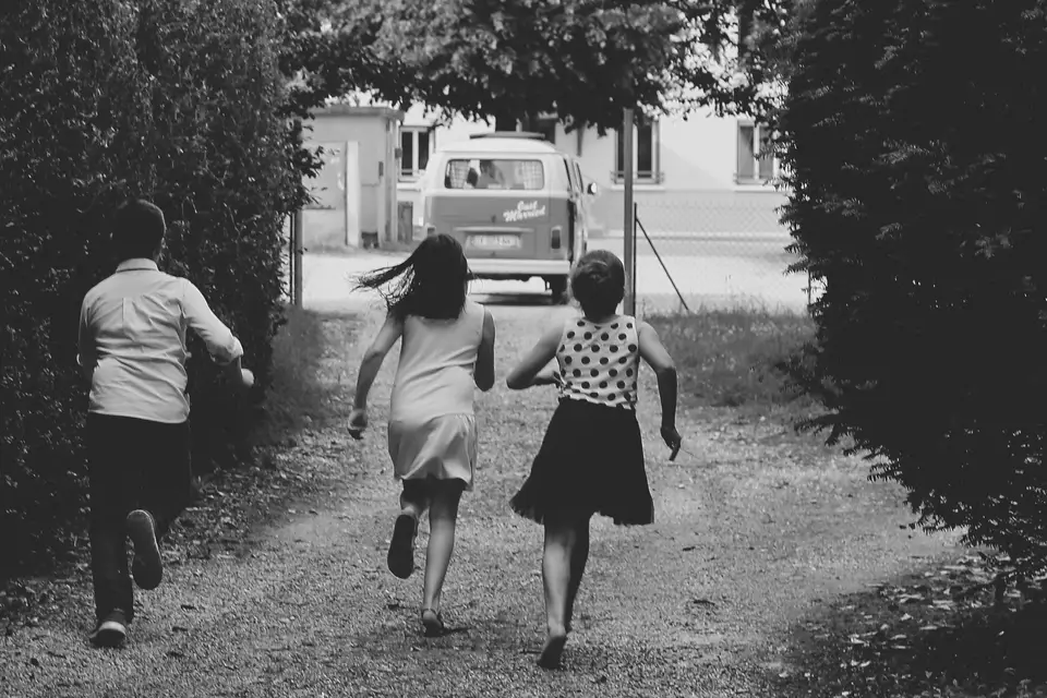 My Little Kombi — photo 6