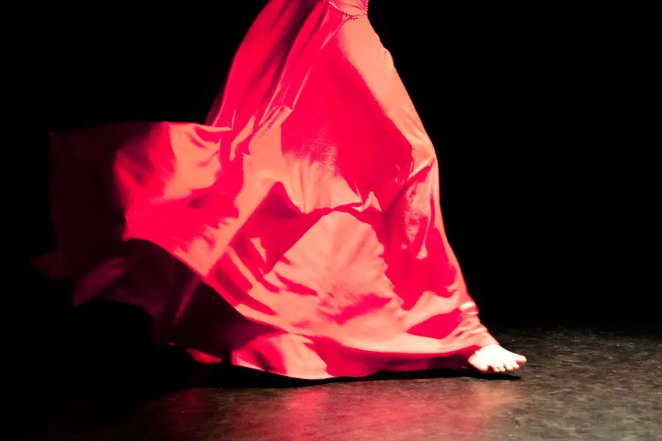 Roza Danse — photo 5