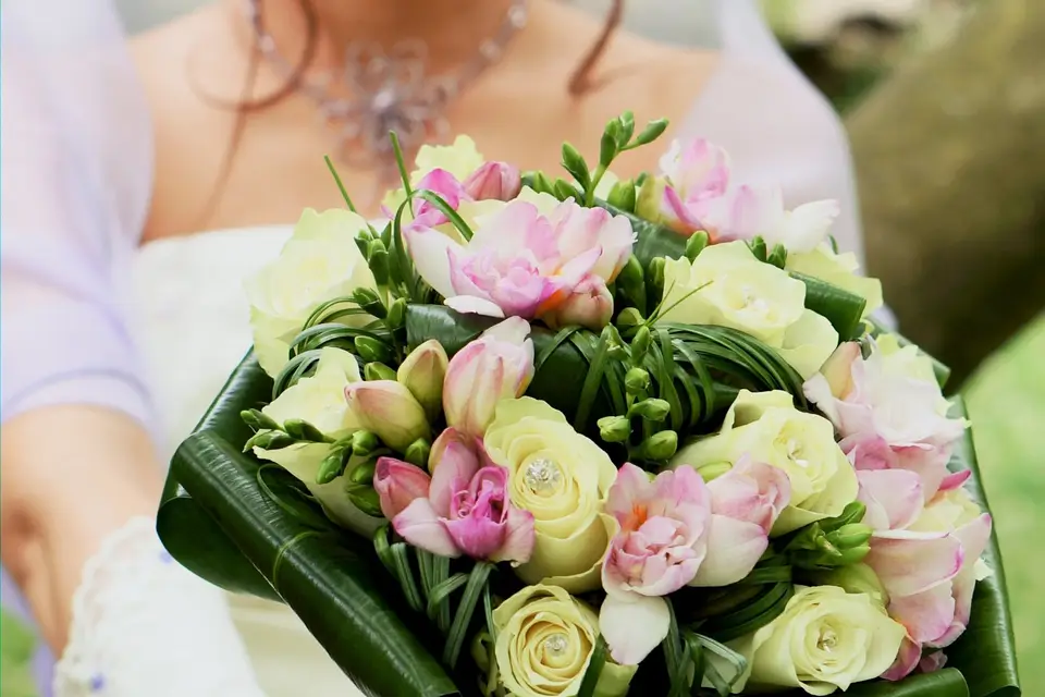 CBLDS Photo — photo 1