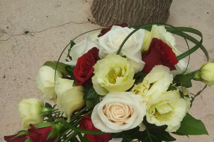 Passion d'art-mony — photo 2