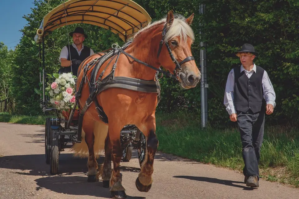 Philippe Rameaux Photographie — photo 7