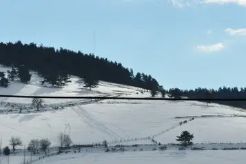 Auberge Les Genêts d'Or — photo 5