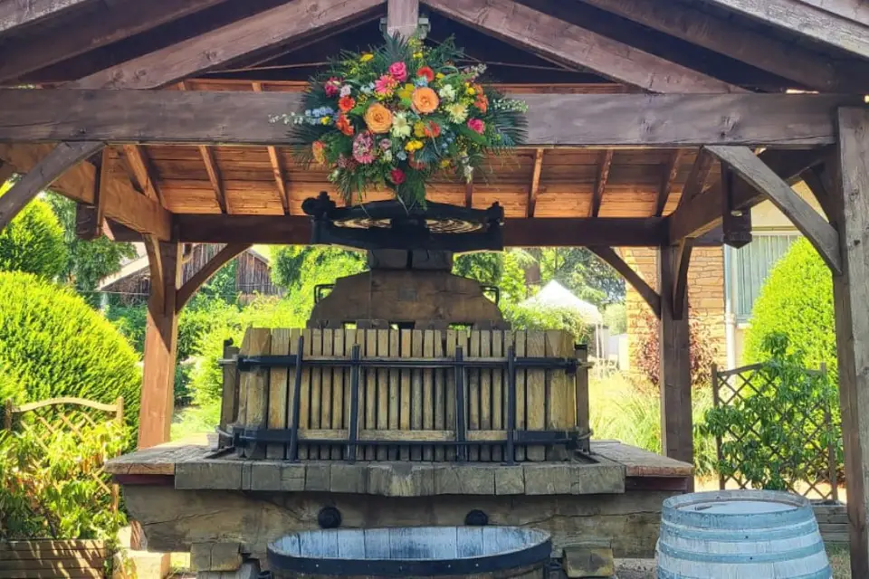 QV Florale — photo 4