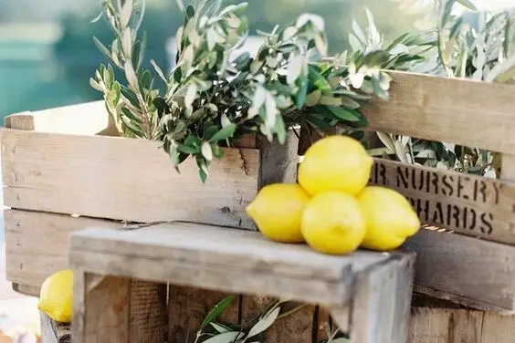 Sorre Events — photo 8