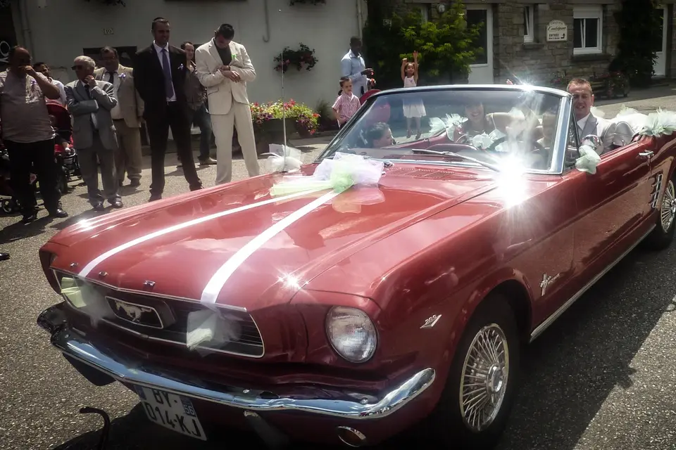 Bucdesign — photo 3