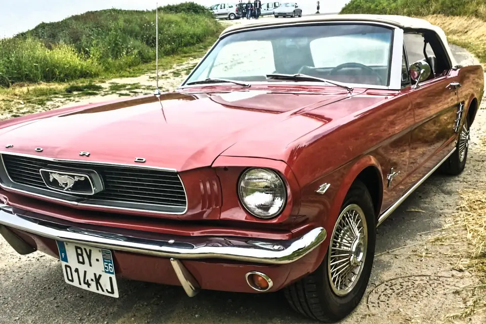 Bucdesign — photo 1