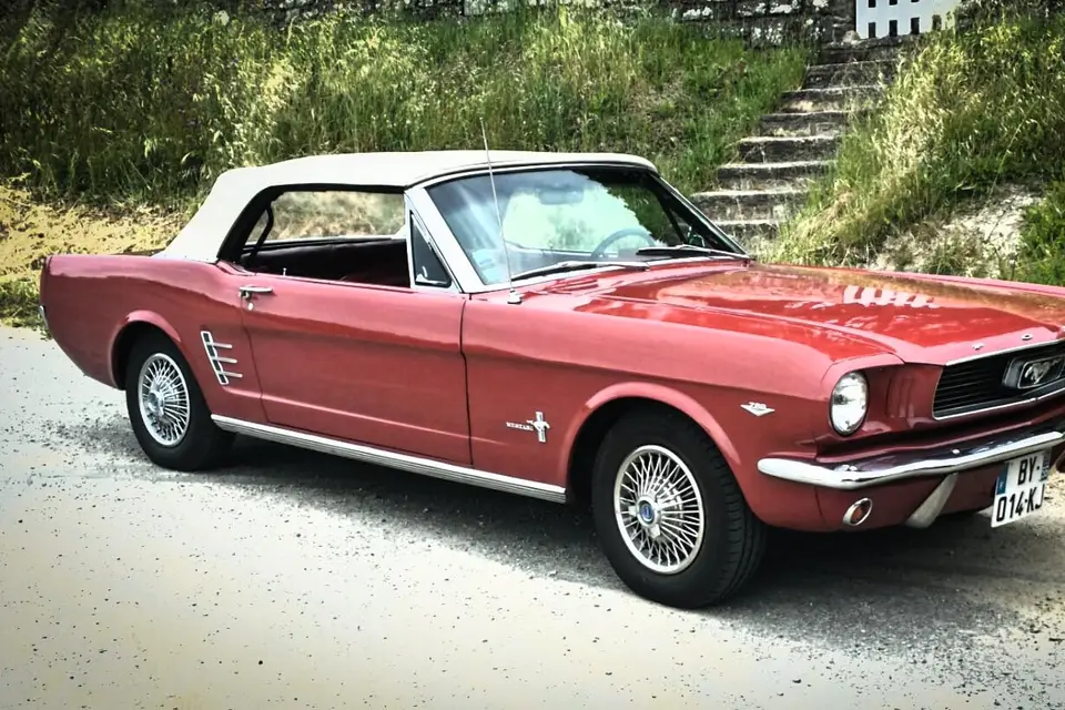 Bucdesign — photo 2