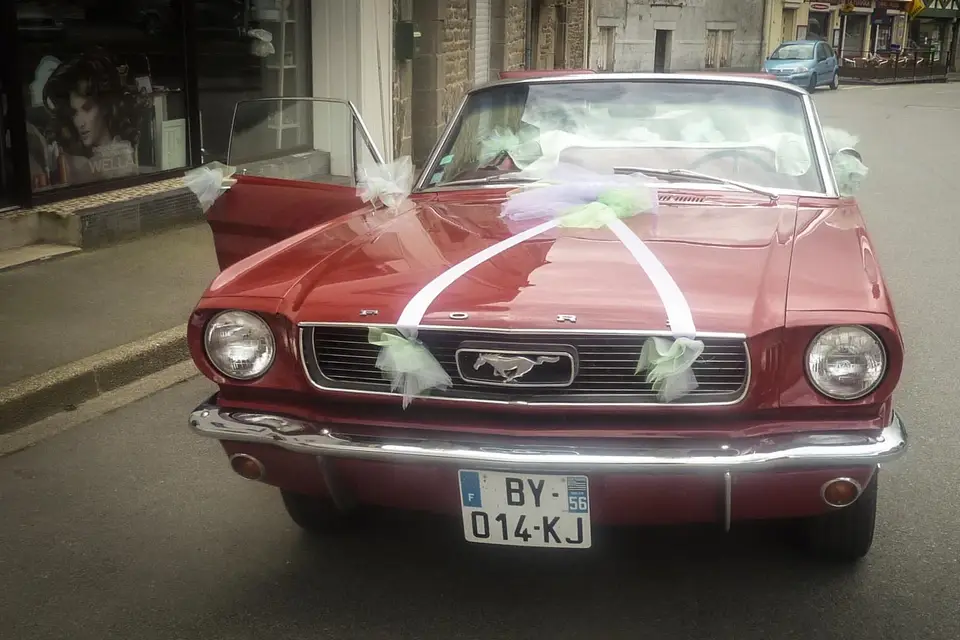 Bucdesign — photo 4