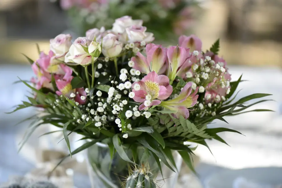 Ambiance Subtile — photo 1