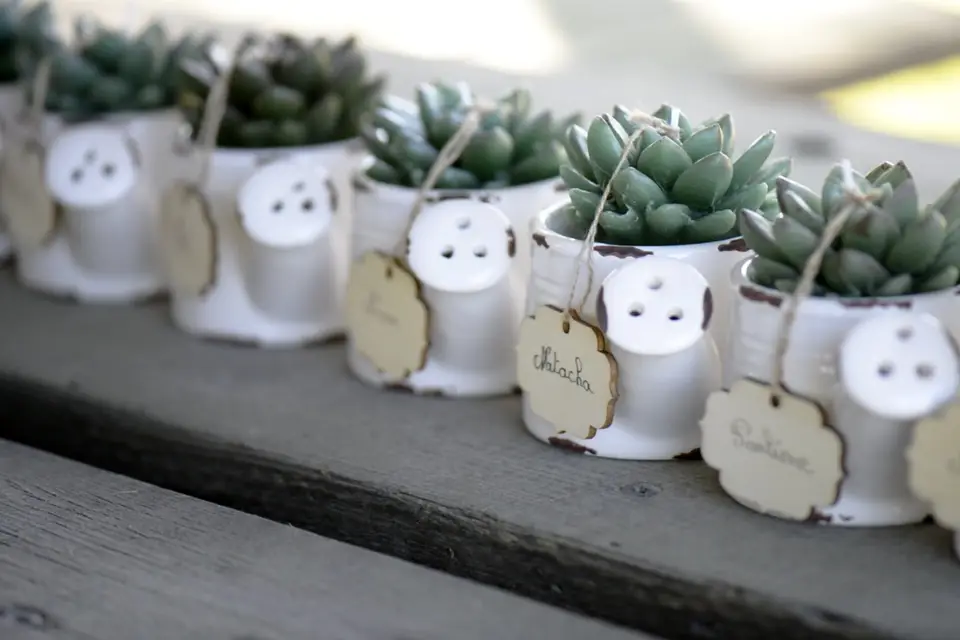 Ambiance Subtile — photo 4