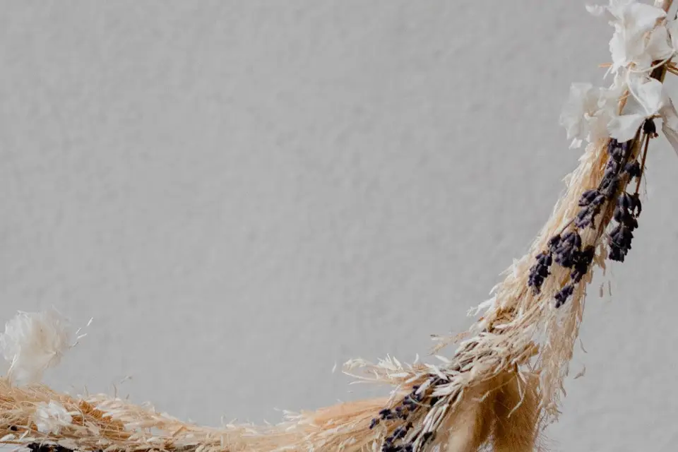 Les Francettes — photo 3