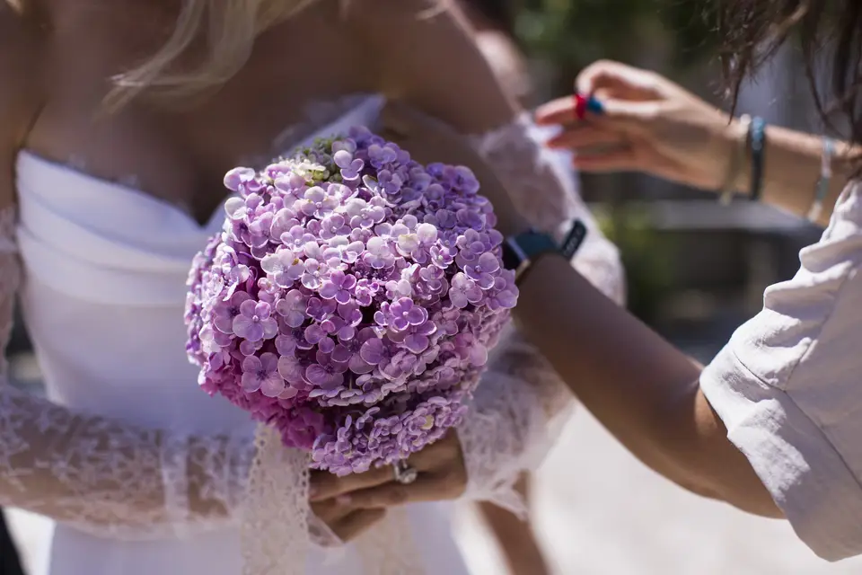 Les Maisons du Salvignol