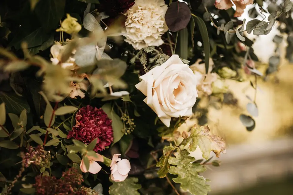 Marufloral — photo 8