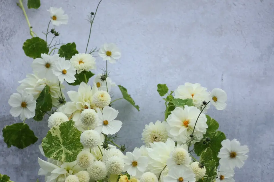 Marufloral — photo 1