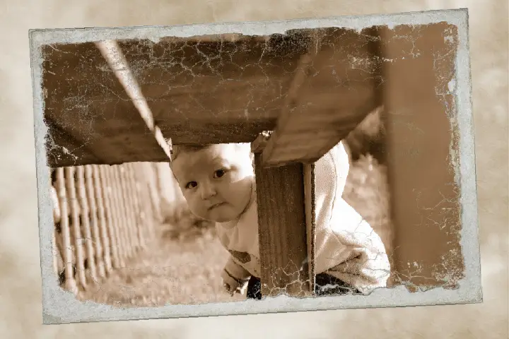 Sépia Photo Passion — photo 5