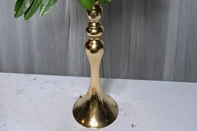 Ballon & Pétale — photo 3