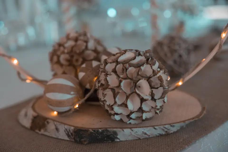 Lyra Events — photo 4