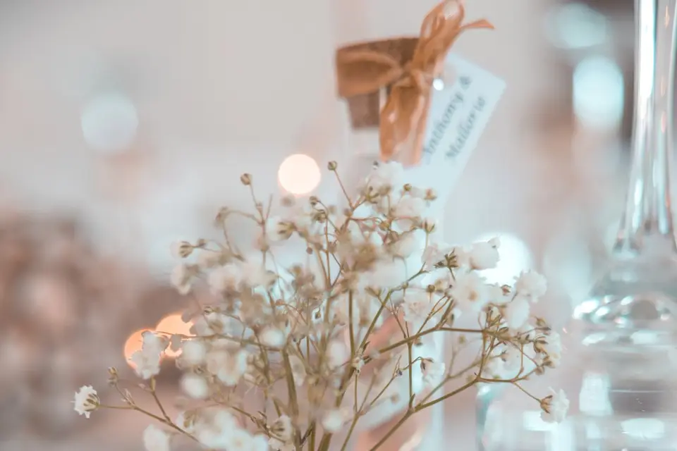 Lyra Events — photo 5