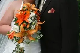 Mache Sarl Photographe Professionnel — photo 8