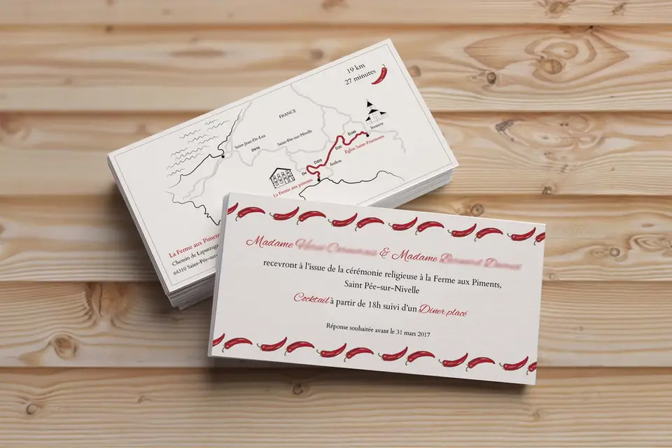 Tracy de Sousa Graphiste et Ilustratrice