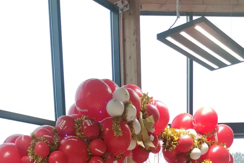 Hach de Cheyenne — photo 2