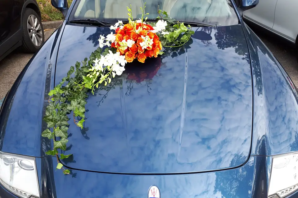 Samuel H. — photo 7